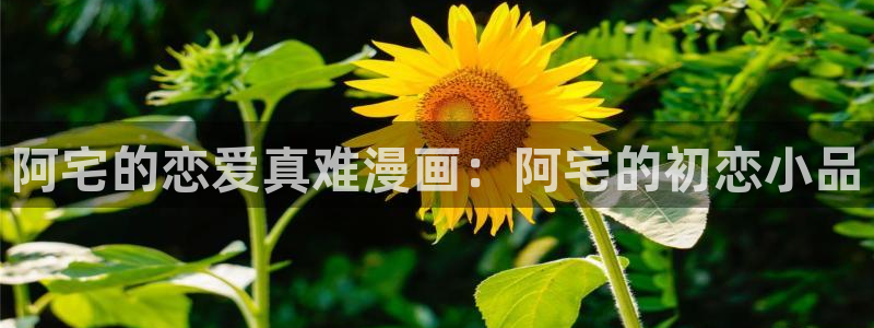 汗汗漫画免费阅在线看