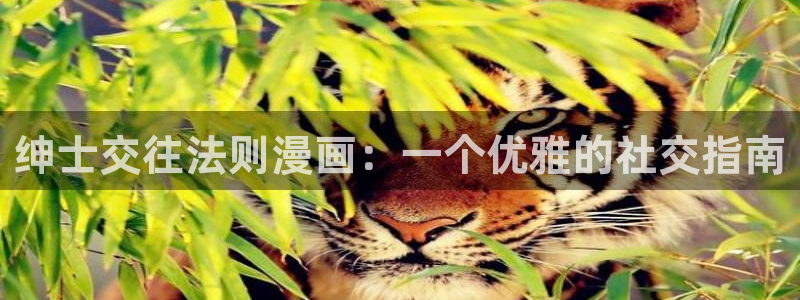 汗汗漫画在线观看免费漫画下拉式