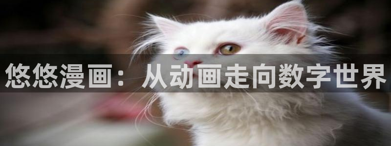 汗汗漫画渗透测试