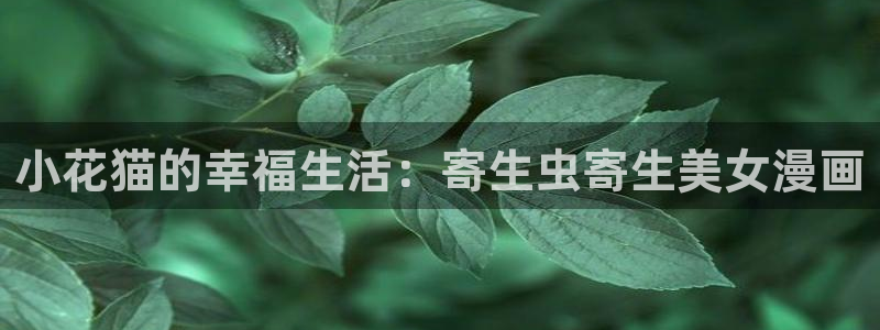 汗汗漫画看不了了